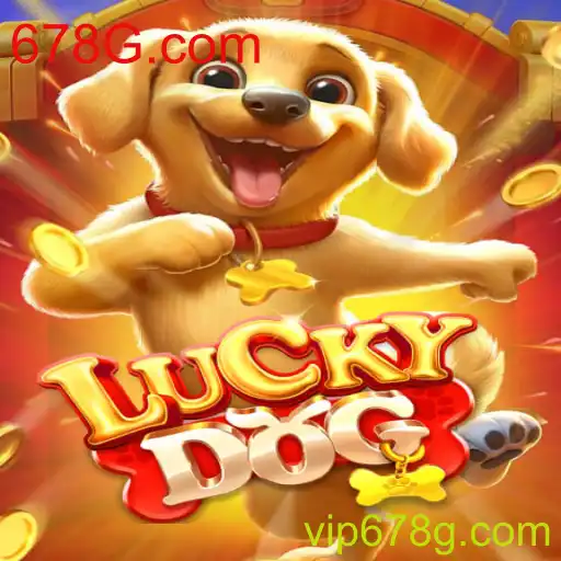 Jogando LuckyDog: Regras, Estratégia e Diversão no 678G.com
